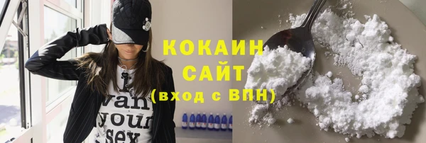 бошки Бронницы